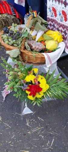 394836300 1085320042655941 7242006784346170261 n