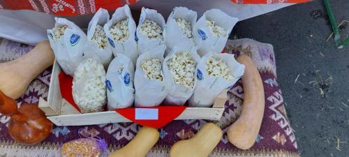 395976690 1085321345989144 3772425031491186988 n