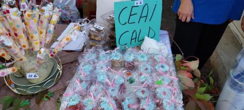 395996889 1085320682655877 3872474630031636923 n